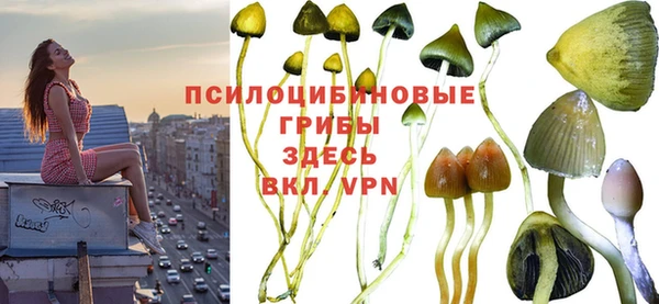 ешки Баксан