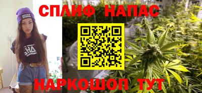 ешки Новозыбков