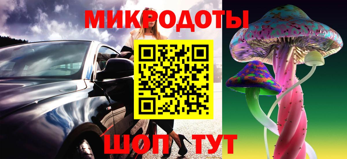 Псилоцибиновые грибы Cubensis Реутов