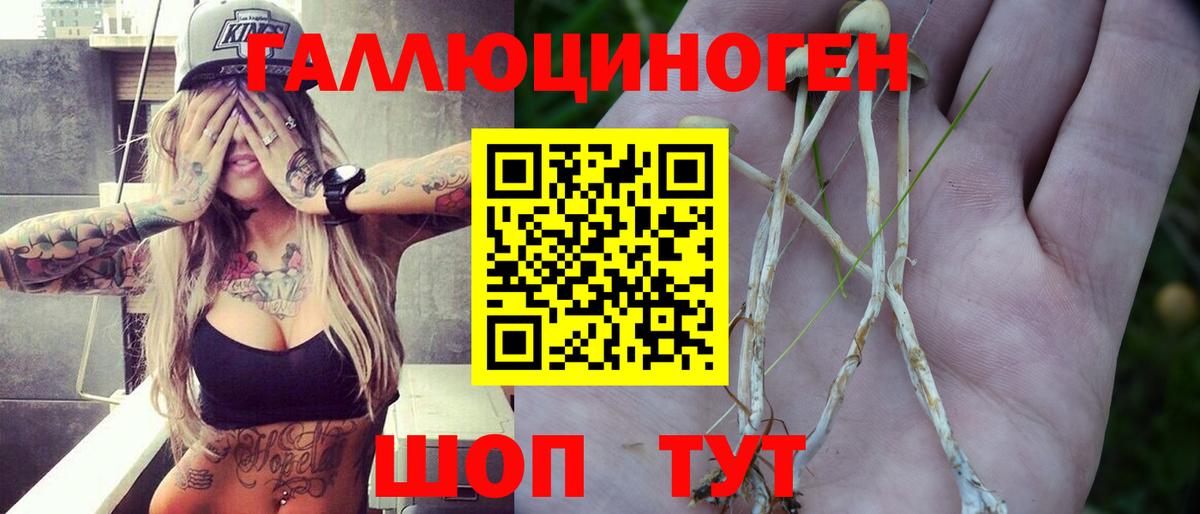 Галлюциногенные грибы MAGIC MUSHROOMS  Вход с VPN  Реутов 