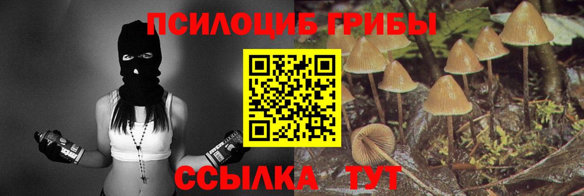 Галлюциногенные грибы MAGIC MUSHROOMS  Вход с VPN  Реутов 