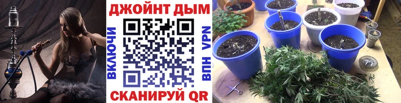 Канабис сатива  Реутов 